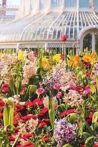 Belfast Botanic Gardens